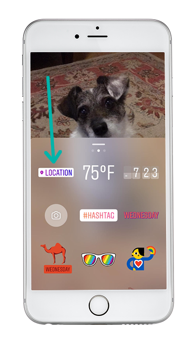 A Step-by-Step Guide to Getting More Instagram Story Views